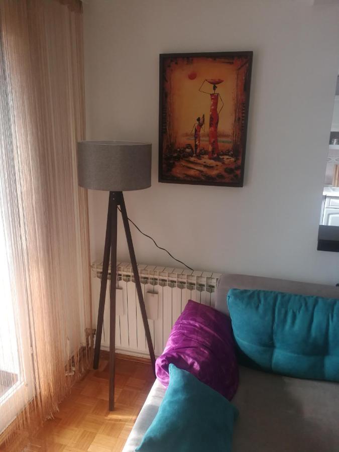 Apartment Nedic โดโบย ภายนอก รูปภาพ
